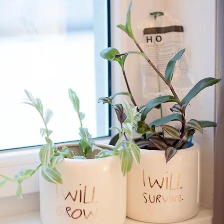 דירה Bakossova Centrum *